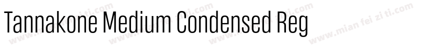 Tannakone Medium Condensed Regular字体转换